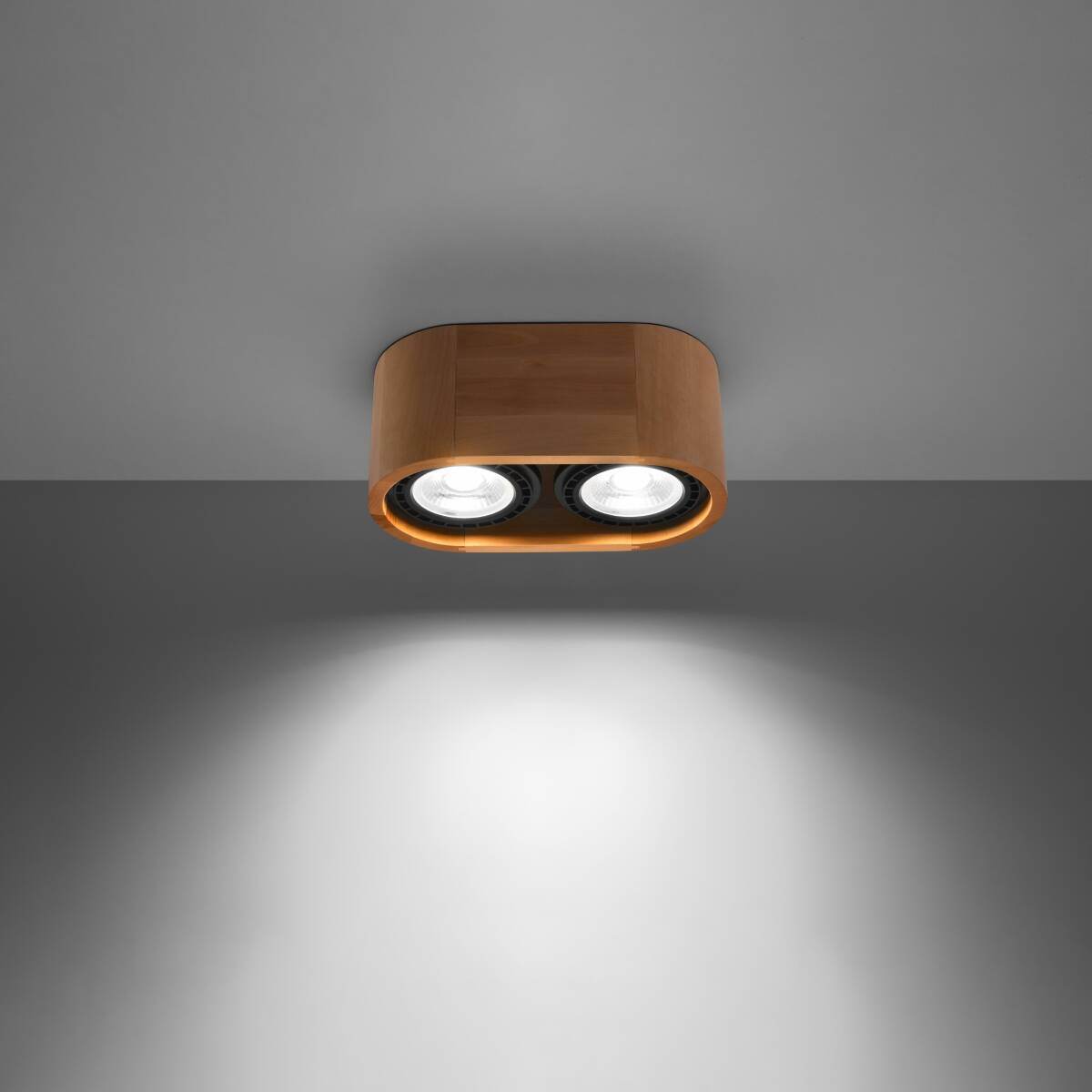 Laelamp Basic 2 Puit GU10 - BrighteNova