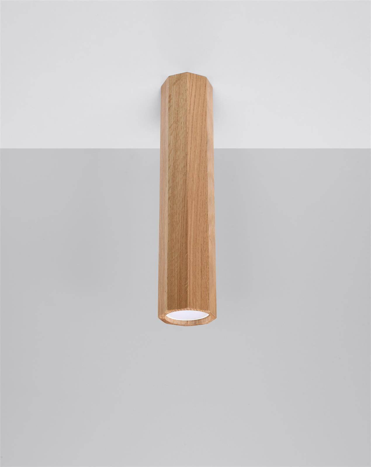 Laelamp Zeke 30 Puit GU10 - BrighteNova
